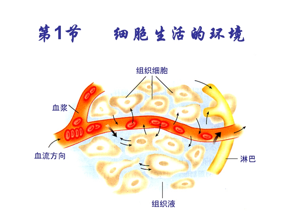 生物第1节细胞生活的环境.ppt_第2页