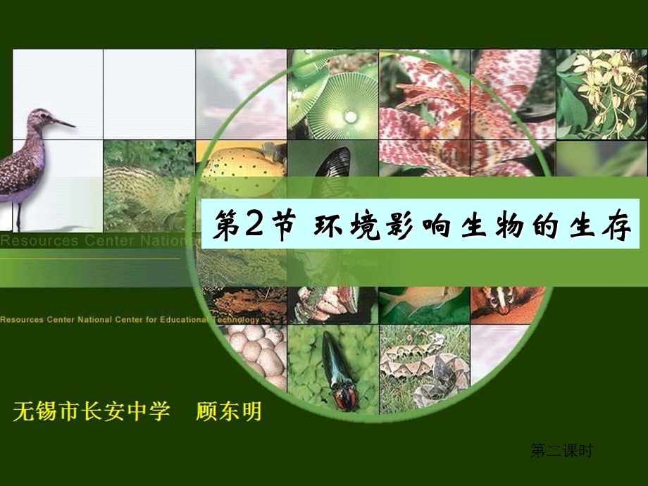 环境影响生物的生存(第二课时).ppt_第1页