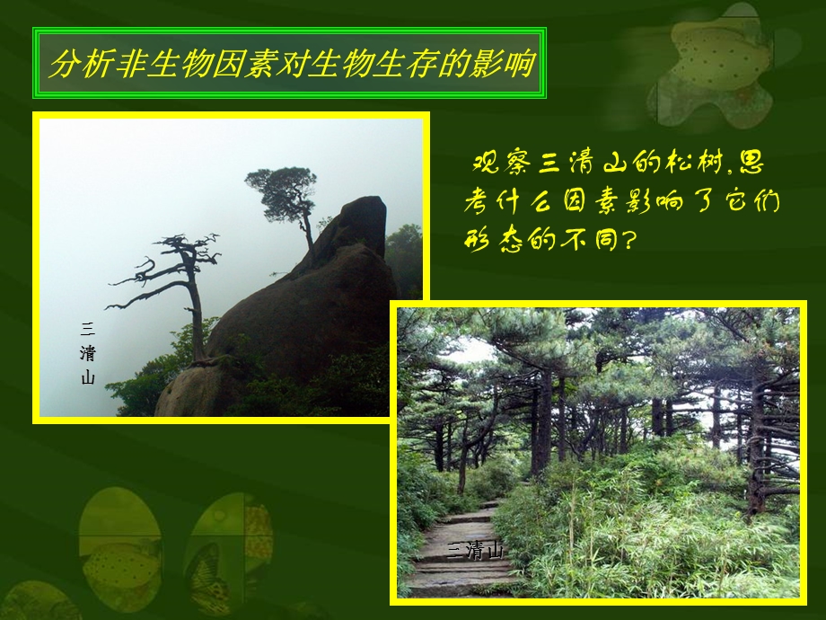 环境影响生物的生存(第二课时).ppt_第3页