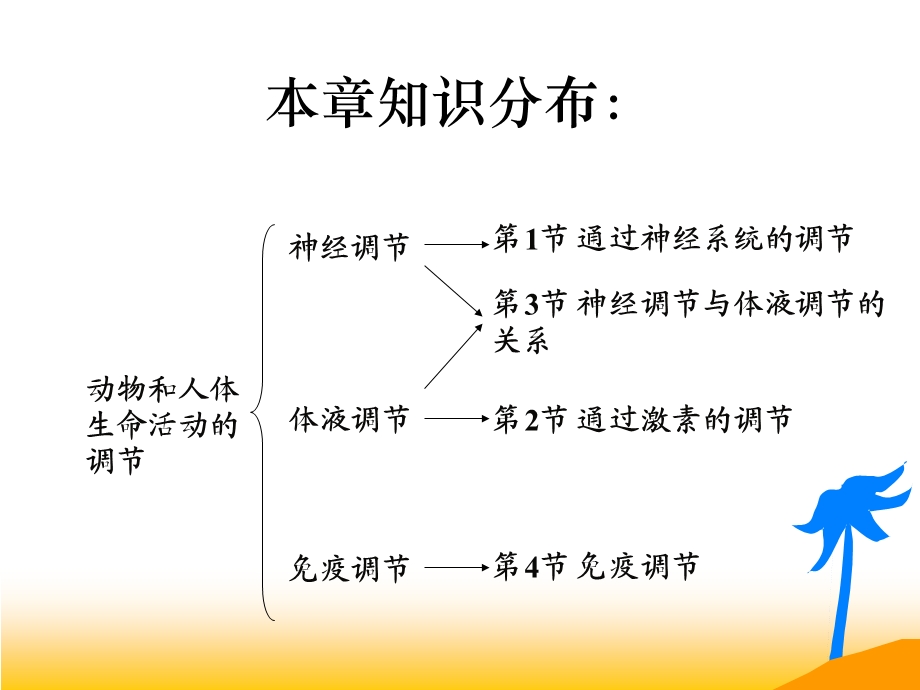 神经系统的调节上课用最新.ppt_第3页