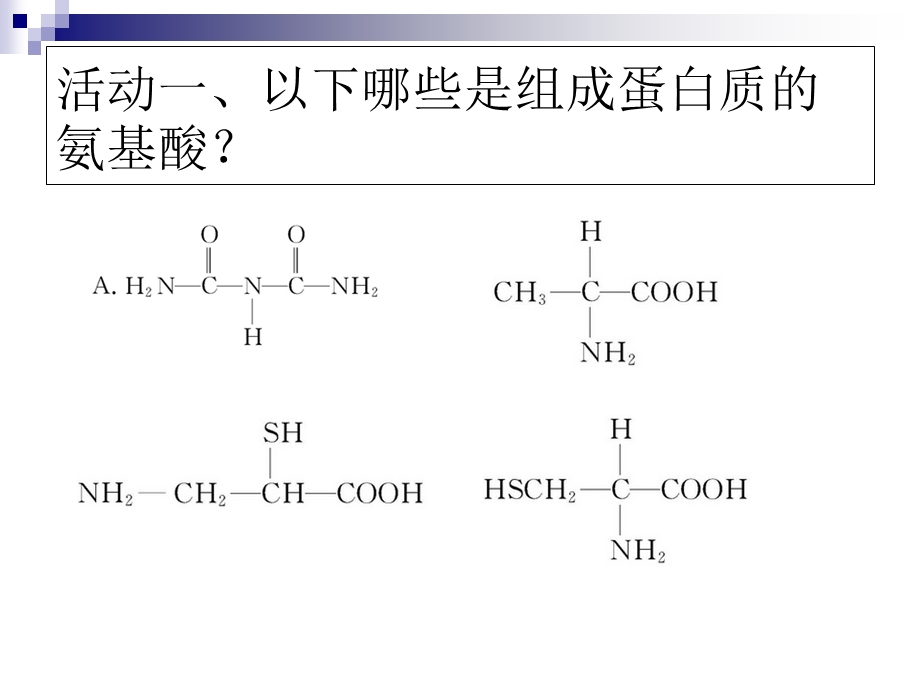 生物第三讲蛋白质生命活动的承担.ppt_第3页