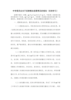 中学委员会关于巡察整改进展情况的报告.docx