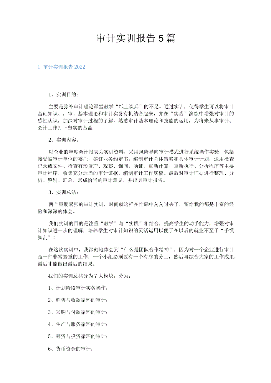 审计实训报告5篇.docx_第1页