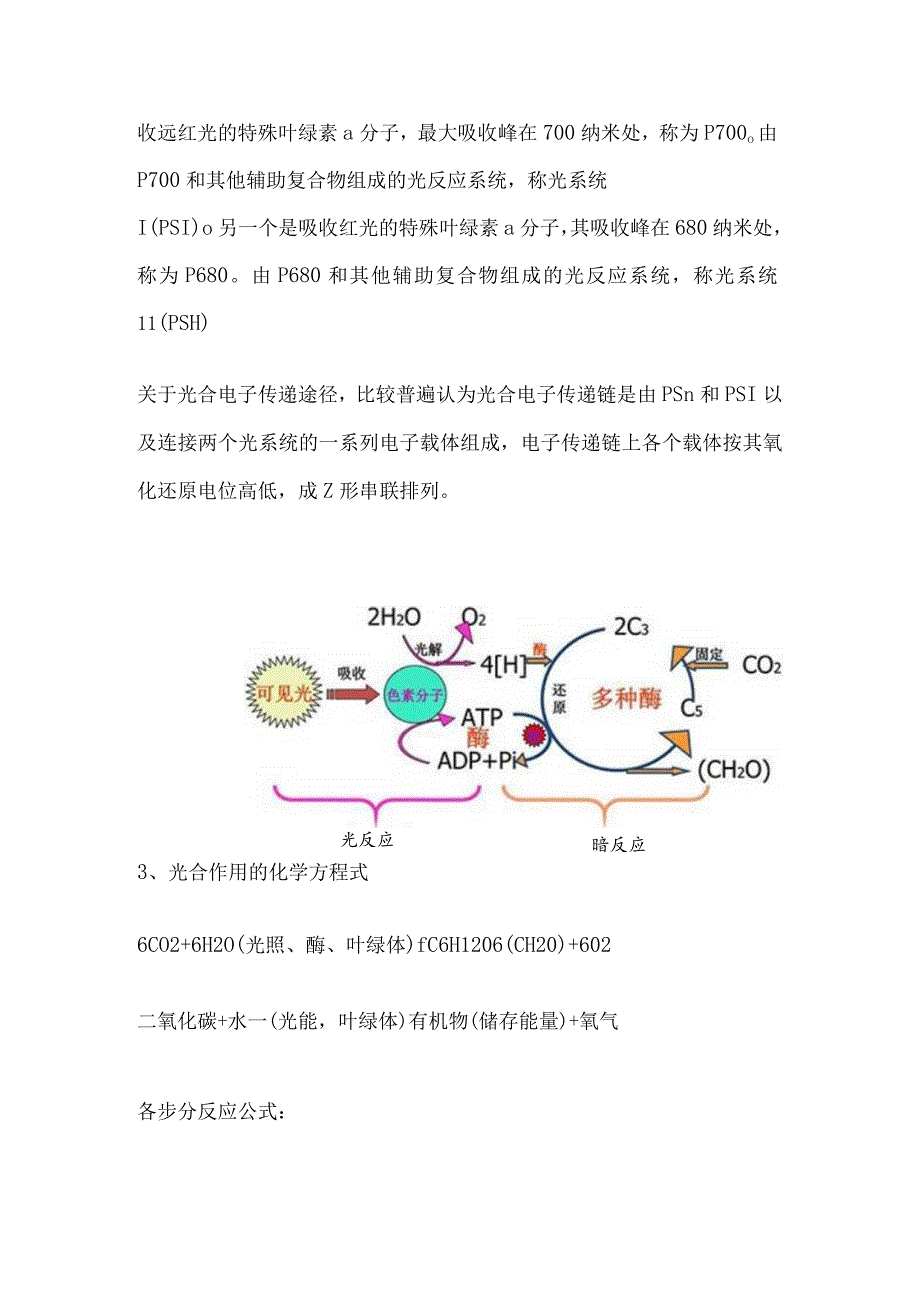 中药的特异功能机理.docx_第2页