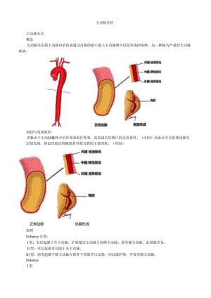 心血管内科主治医师资格笔试专业知识考点解析 (11)：主动脉夹层.docx