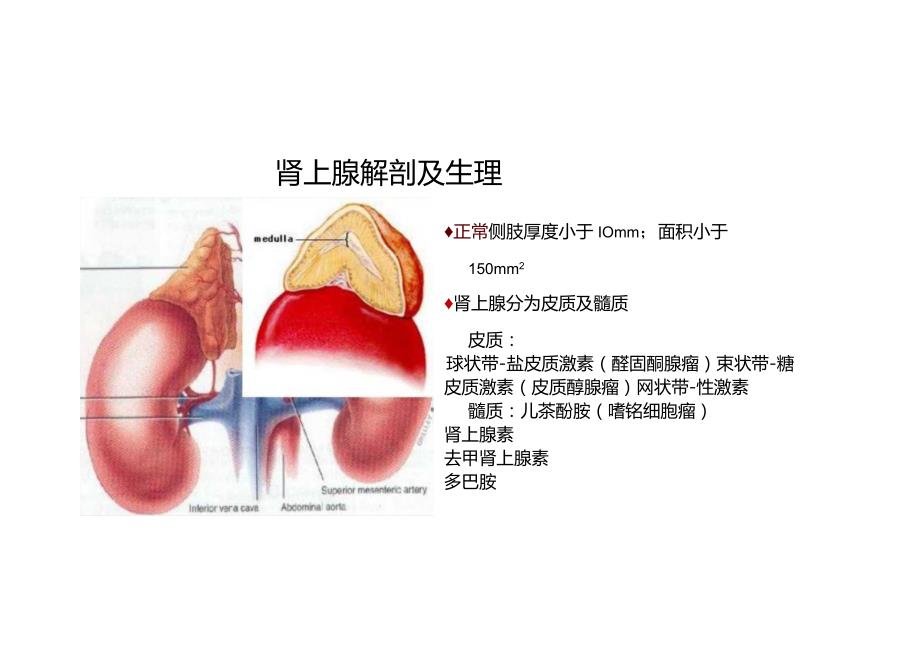 肾上腺腺瘤与嗜铬细胞瘤的影像诊断与鉴别诊断.docx_第2页