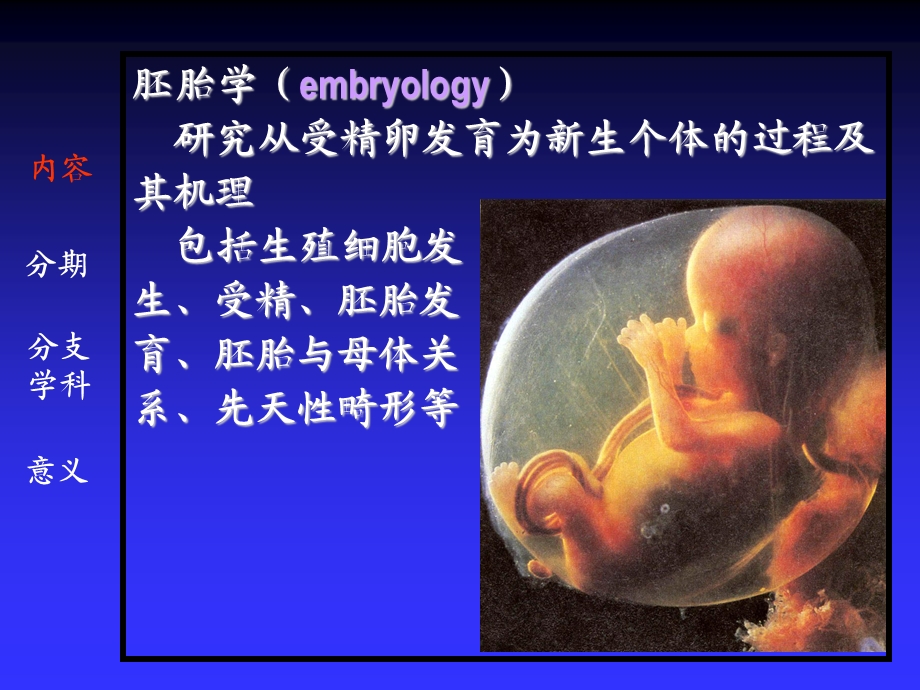 第12章人体胚胎学概要3.ppt_第3页