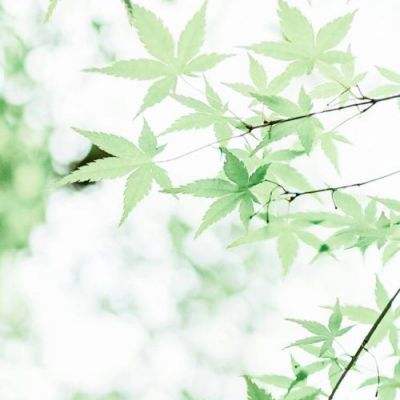落实落细各项防汛措施 全力保障人民生命财产安全