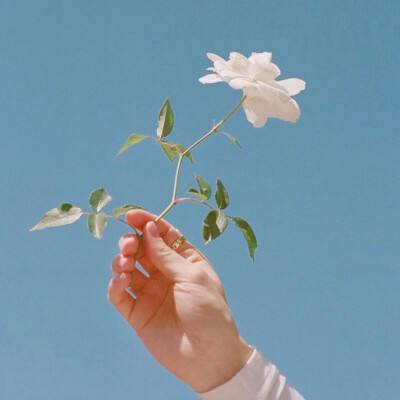 芒果体育娱乐app