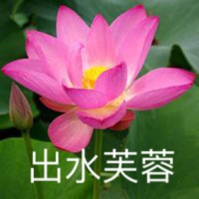 全台县市长排行榜 蒋万安好评第一