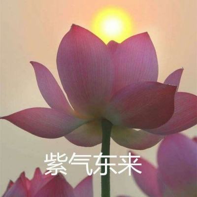 四虎影视在线观看永久地址