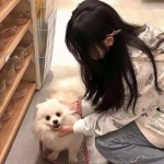 莱德杯欧洲队大合影